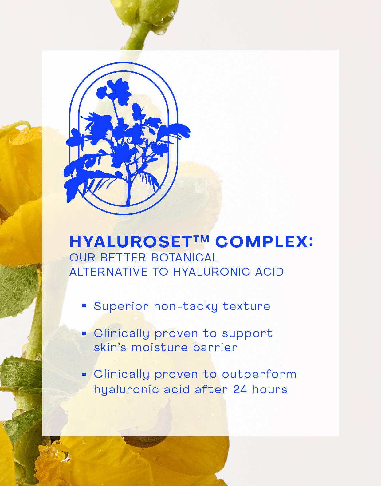 Firming Vegan Collagen Prep Serum - Detour Boutiques
