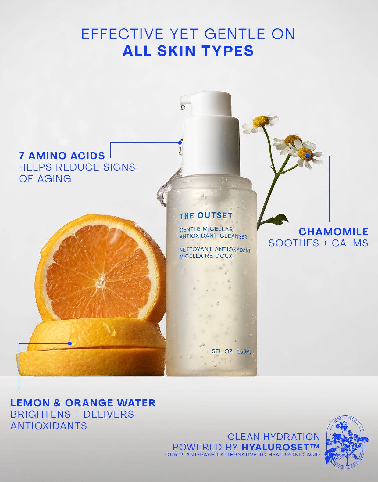 Gentle Micellar Antioxidant Cleanser - Detour Boutiques