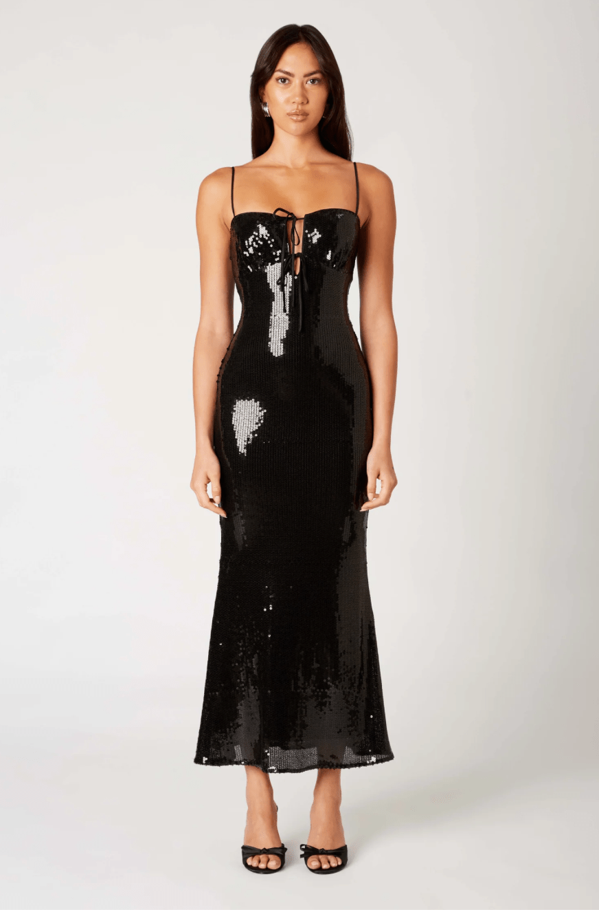 Hawk Dress - Detour Boutiques