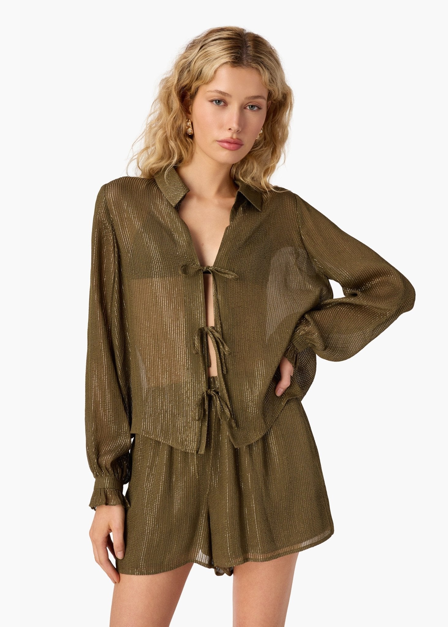 Niecey Metallic Chiffon Blouse - Detour Boutiques