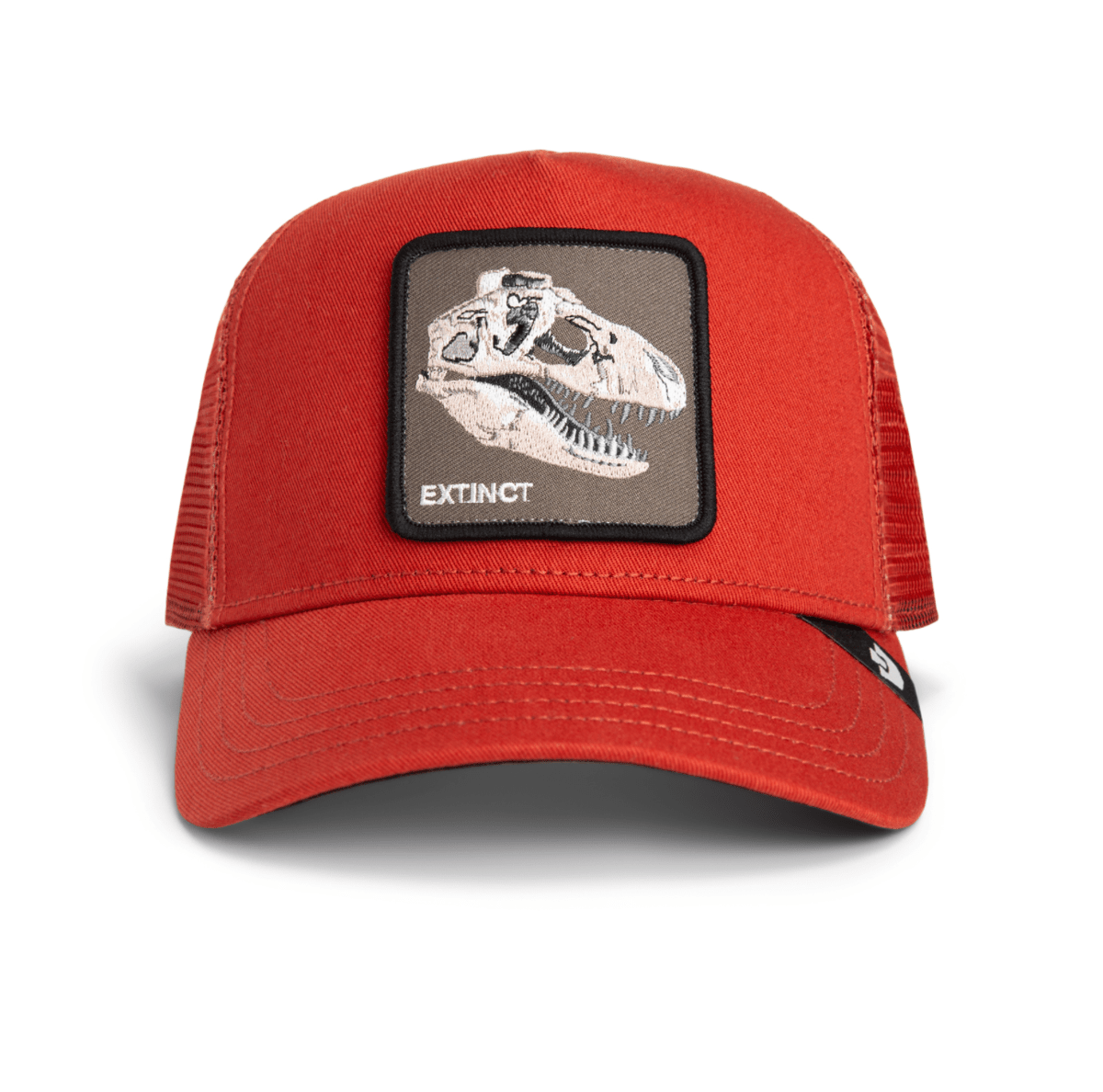 THE EXTINCT SKULL - Detour Boutiques