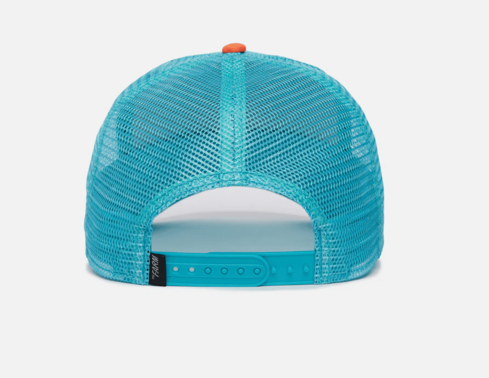 The Player Dolphin - Detour Boutiques