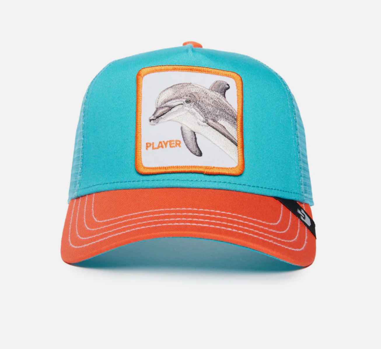 The Player Dolphin