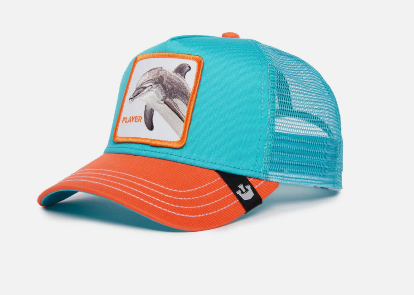 The Player Dolphin