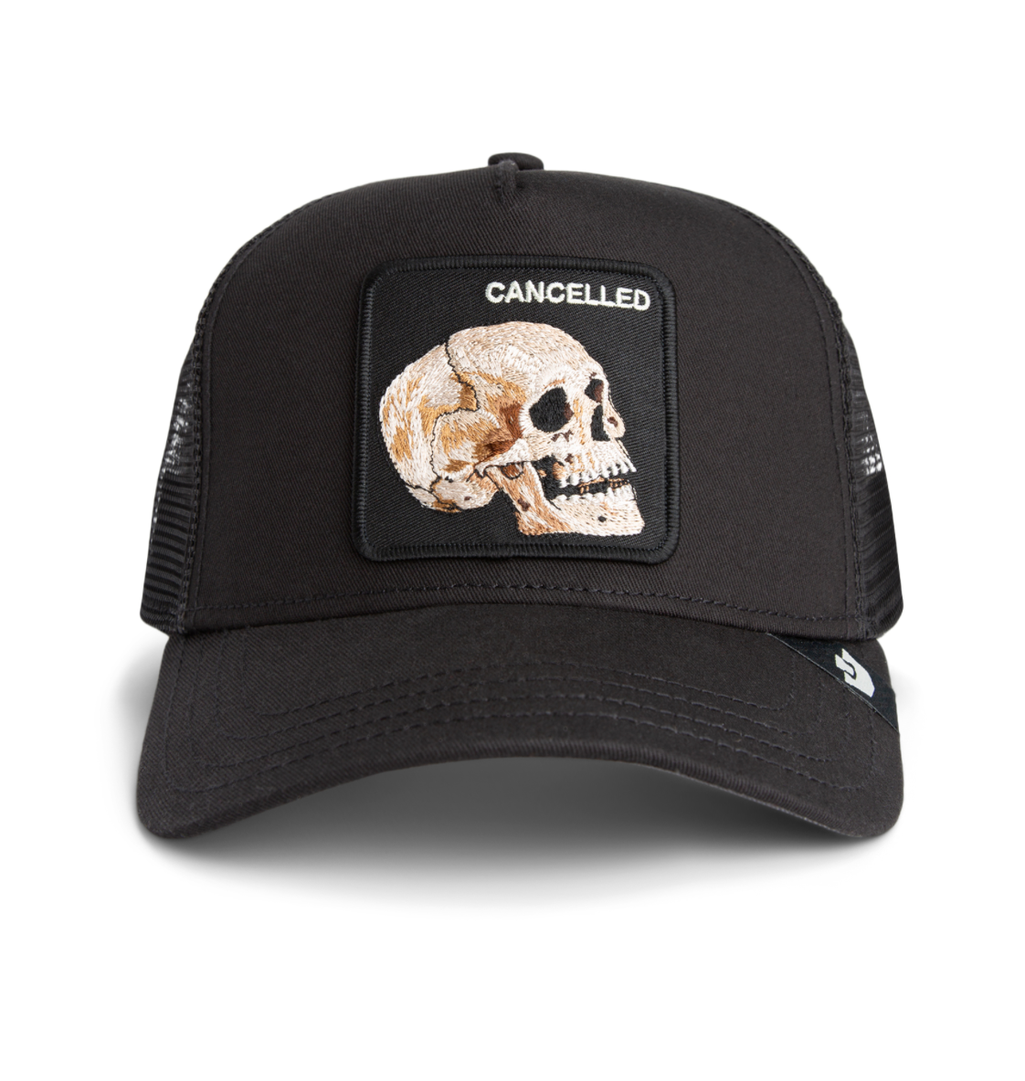The Cancelled Skull