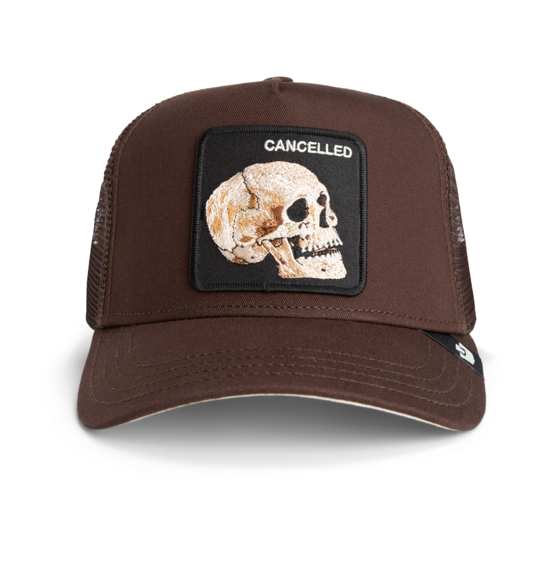 THE CANCELLED SKULL