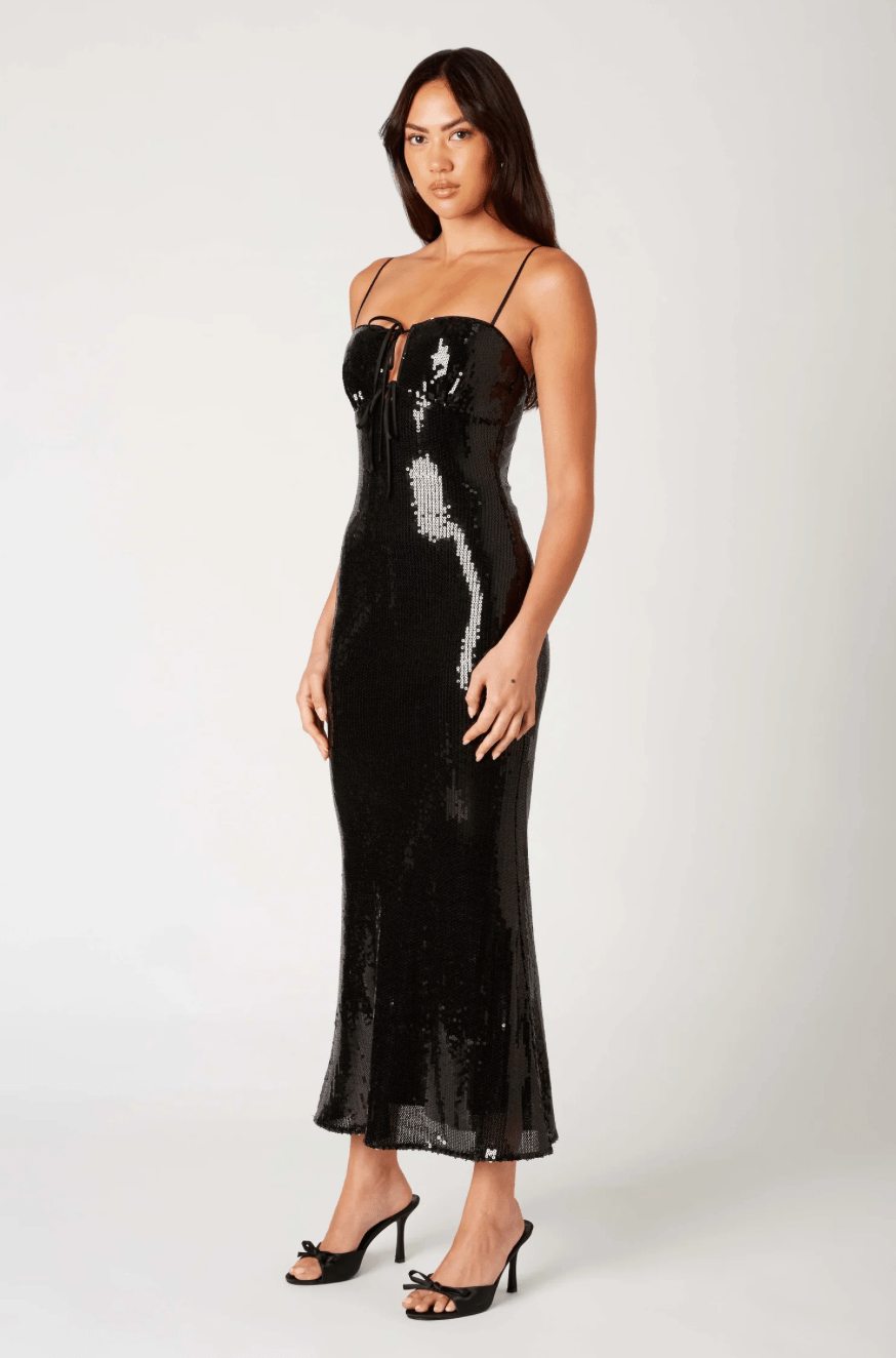 Hawk Dress - Detour Boutiques